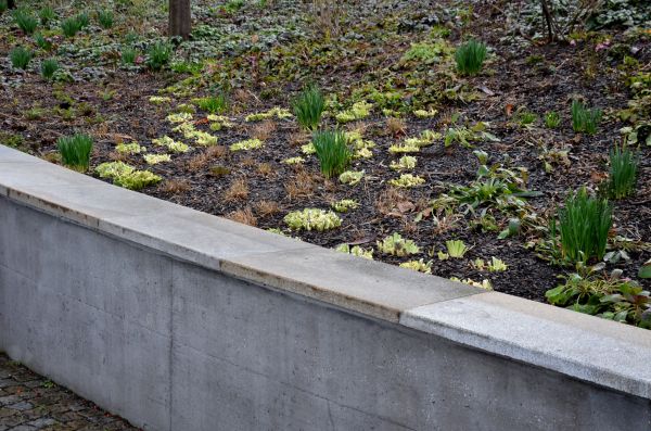 Cost of Concrete Wall Construction in Missoula